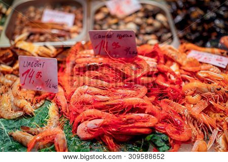 Red Prawns On The Spanish Fish Market.  Selective Focus. Bokeh. Food Market In Barcelona