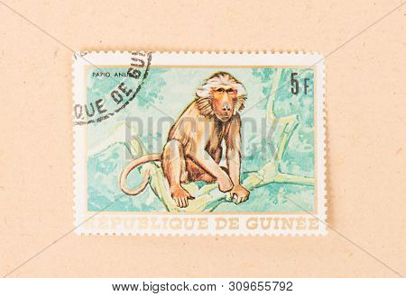 Papua New Guinea - Circa 1980: A Stamp Printed In Papua New Guinea Shows A Monkey, Circa 1980