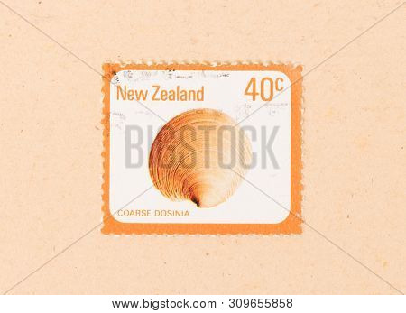 New Zealand - Circa 1980: A Stamp Printed In New Zealand Shows A Coarse Dosinia, Circa 1980
