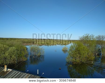 A Spring Freshet On A Small Forest River.