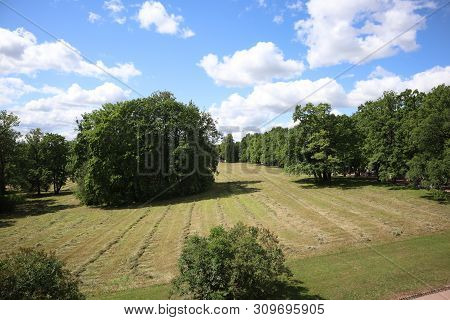 Field With Mown Grass In The Forest, Park. A View Of A Farming Field With A Freshly Mown Grass Now L