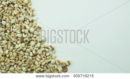 Job's Tears, Also Known As Adlay And Coix On White Background. Popular In Asian Cultures As A Food S