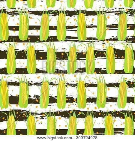 Seamless Pattern Of Corn Cobs On The Background Of Grunge Strips And Scattered Grains Of Corn. Summe