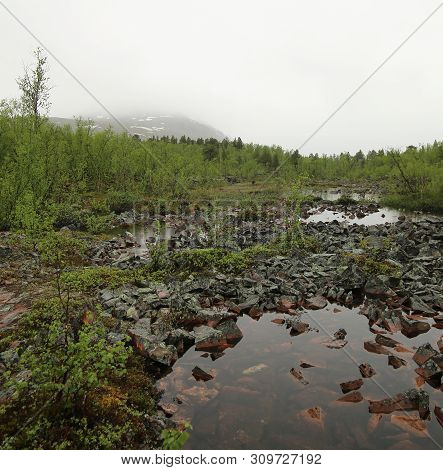 Bog At Nikkaluokta In Sweden On A Rainy Day