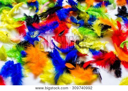 Multi Colored And Colorful Feather Background.background From Feathers Of  Birds. Bright Colored Fea