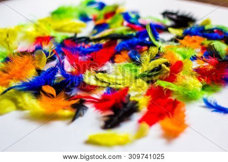 Multi Colored And Colorful Feather Background.background From Feathers Of  Birds. Bright Colored Fea