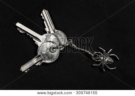 A Three Keys With A Spider-shaped Pendant On A Black Background.
