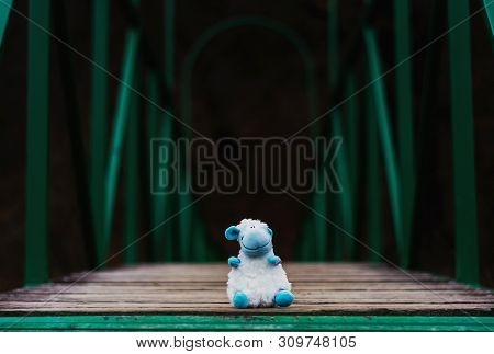 A Fluffy Sheep Abandoned On A Footbridge Over A Stream