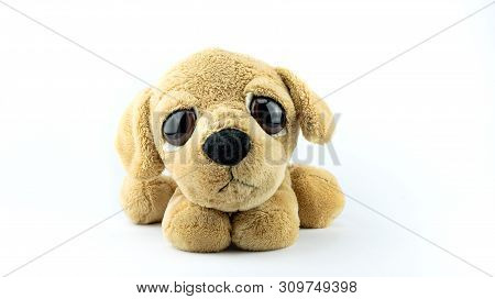 Plush Toy - Sad Puppy Isolated On White Background.