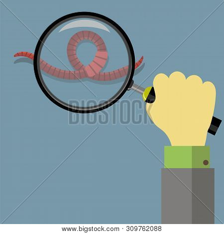 Animal Earth Red Worms For Fishing And Glass.