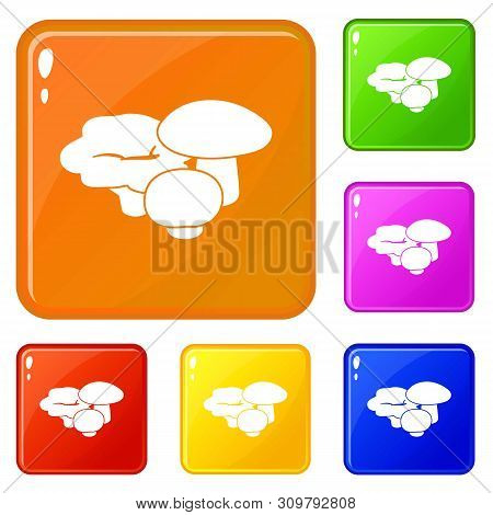 Mushrooms Icons Set Collection Vector 6 Color Isolated On White Background