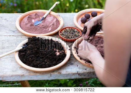 Woman Is Manufacturing Seed Balls Or Seed Bombs On A Wooden Table, Flower Field In The Background