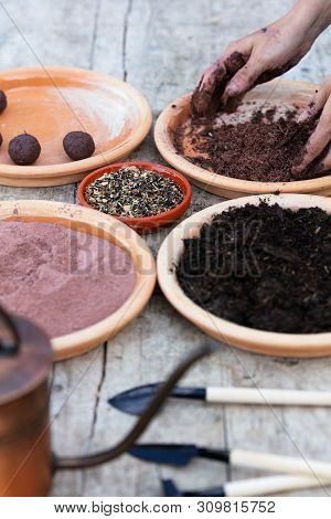 Woman Is Manufacturing Seed Balls Or Seed Bombs On A Wooden Table, Flower Field In The Background