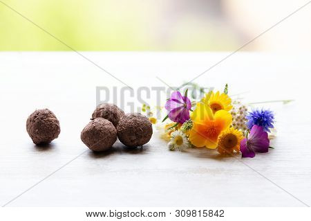 Seed Balls Or Seed Bombs With Various Blossoms On A White, Wooden Background