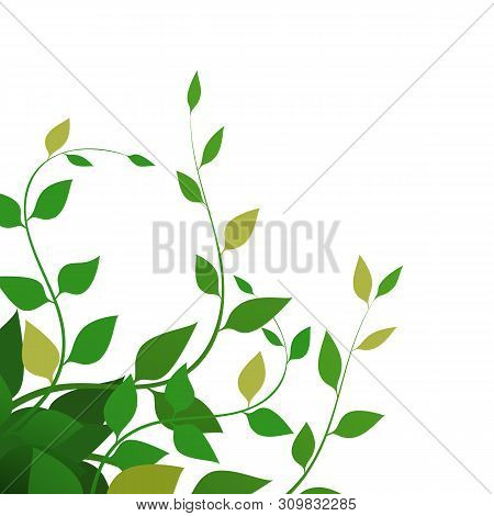Vector. Background With Green Leaves, Vector Illustration. Fine Branches
