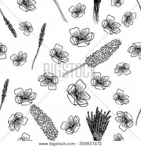 Lavender Flowers Seamless Pattern In Hand Drawn Style. Vector Illustration