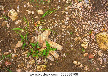 World Problem With Global Warming, Old Glove On Dryed Earth. The Desert. Its Hot, The Global Shortag