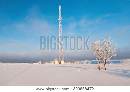 Shot Of Radio Tower, Tree And Amaizing Blue Sky In Winter