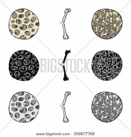 Vector Illustration Of Medicine And Clinic Icon. Set Of Medicine And Medical Vector Icon For Stock.