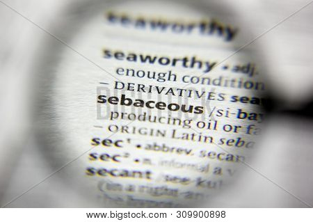 The Word Or Phrase Sebaceous In A Dictionary