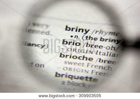 The Word Or Phrase Brio In A Dictionary