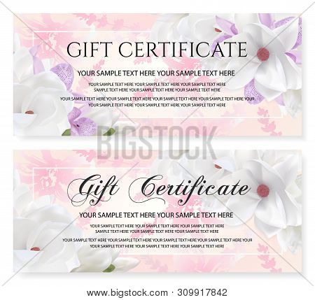 Gift Certificate Vector Photo Free Trial Bigstock