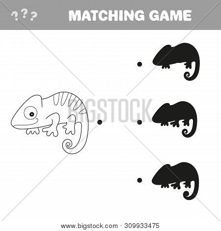 Iguana With Different Shadows To Find The Correct One, Compare And Connect Object With Shadow, The E