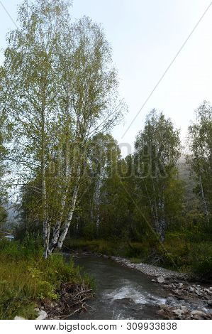 Early Morning On A Mountain River Yarovka In Western Siberia. Altai Territory. Russia