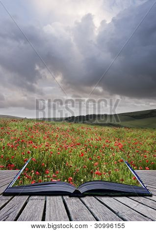 Concept creativo immagine del paesaggio papavero campo uscendo pagine nel libro magico