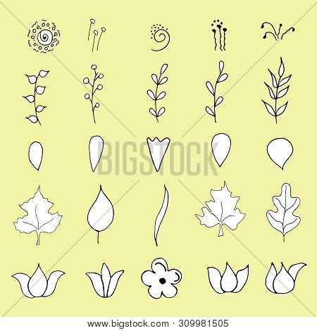 Set Of Botanical Doodle To Create Your Bouquet Design. Vector Hand Drawing For Easy Creativity. Crea