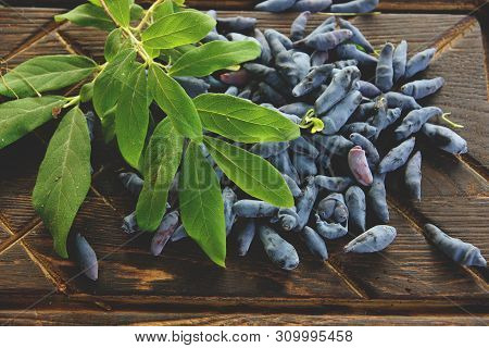 Blue Honeysuckle Berries On A Dark Relief Board, Next To A Green Leaf