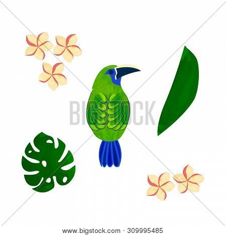Tropical Summer Coolection With Toucan, Palm Leaves And Exotic Flowers. Vector Illustration.