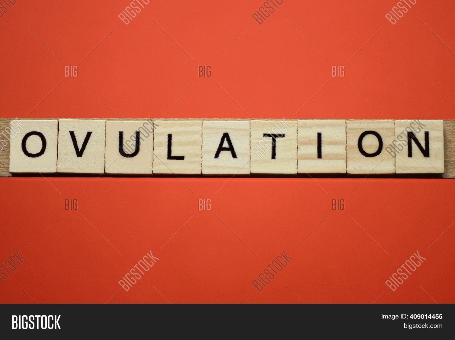 Text Word Ovulation Image & Photo (Free Trial) Bigstock