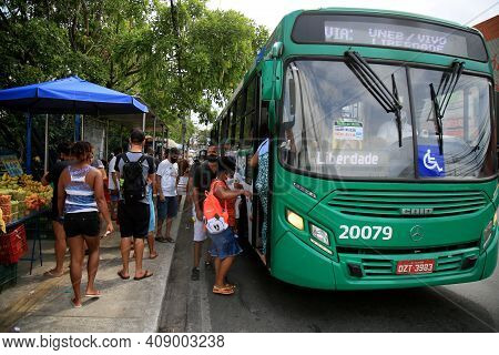 Public Transport Bus In Salvador