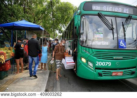 Public Transport Bus In Salvador