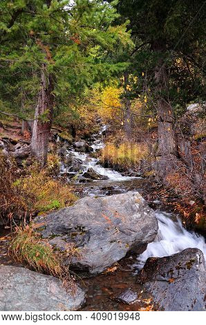 A Small Stream Flowing Down From The Mountain In A Rushing Stream, Bending Around Stone Boulders And