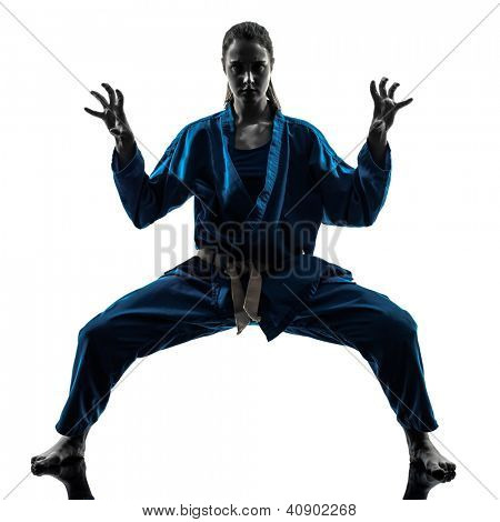 en kaukasisk kvinde udøve karate vietvodao martial arts i silhuet studio isoleret på hvid 
