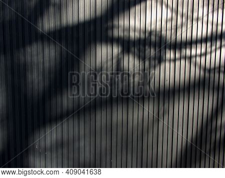 Painted Corrugated Board With Abstract Shadow From Tree Branches.