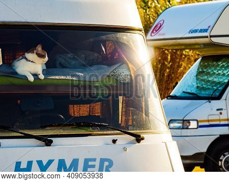 Valencia, Spain - November 23, 2019: Cat Laying On Bed In Hymer Integra Rv Camper Car And Looking Ar