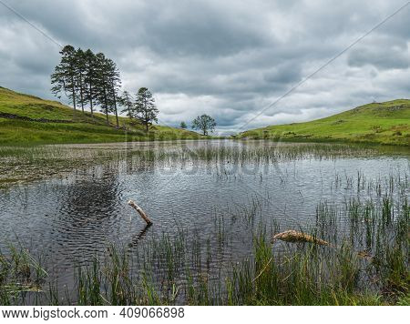 School Knot Tarn: A Small Reedy Body Of Water In The English Lake District