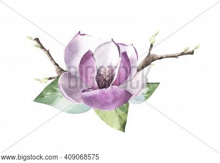 Watercolor Floral Elements Magnolia Flower Bouquet On White Background