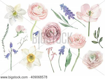 Watercolor Hand Drawn Set With Spring Flowers On White Background. Easter, Spring Theme.