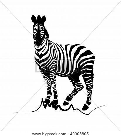 Zebra.EPS