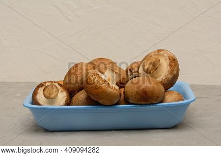 Natural Royal Champignons - Agaricus Bisporus. Fresh Brown Mushrooms In Container Prepared For Sale 