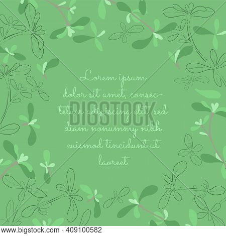Colored Card With Filled And Outlined Thyme Leaves And Twigs Placed Around. Round Clearing In The Ce