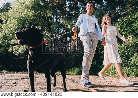 Lovely Couple Is Walking With A Black Labrodor On A Leash. Lovers Smile And Watch The Dog. A Walk In