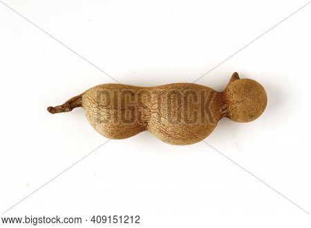 Tamarind Tree Produces Brown, Pod-like Fruits That Contain A Sweet, Tangy Pulp