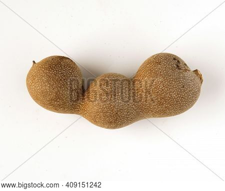 Tamarind Tree Produces Brown, Pod-like Fruits That Contain A Sweet, Tangy Pulp