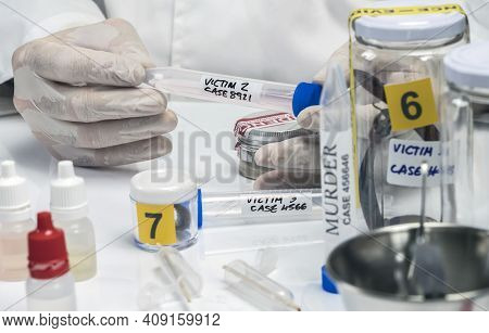 Specialized Criminalistic Police Performs Hematological Analysis With Forensic Test Kit In A Murder 