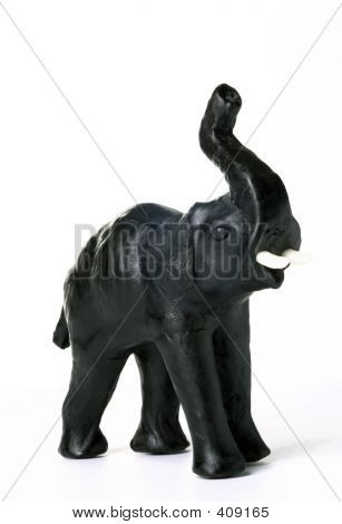 Elefante
